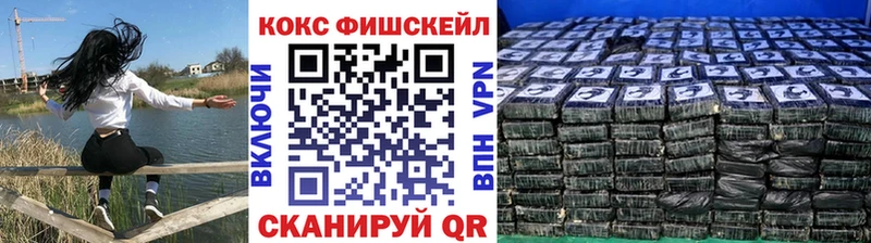 закладка Пойковский COCAIN Fish Scale
