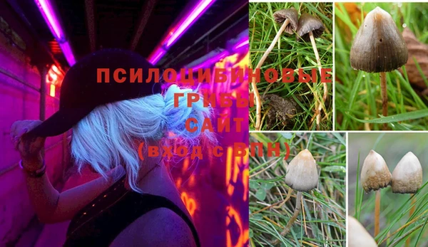 спайс Баксан