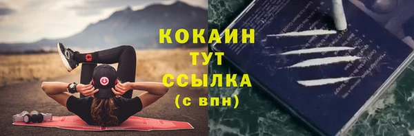 спайс Баксан