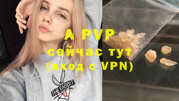 спайс Баксан