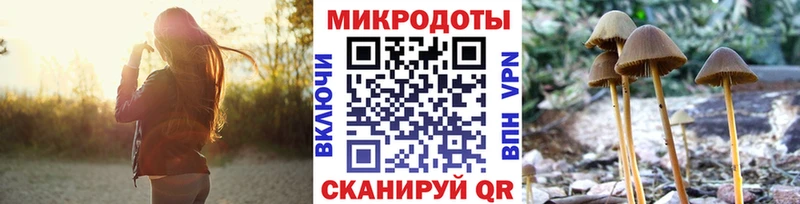 купить закладку  Пойковский  Псилоцибиновые грибы мицелий 